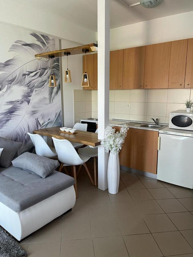 Apartman Lukic Баня-Ковиляча Екстер'єр фото