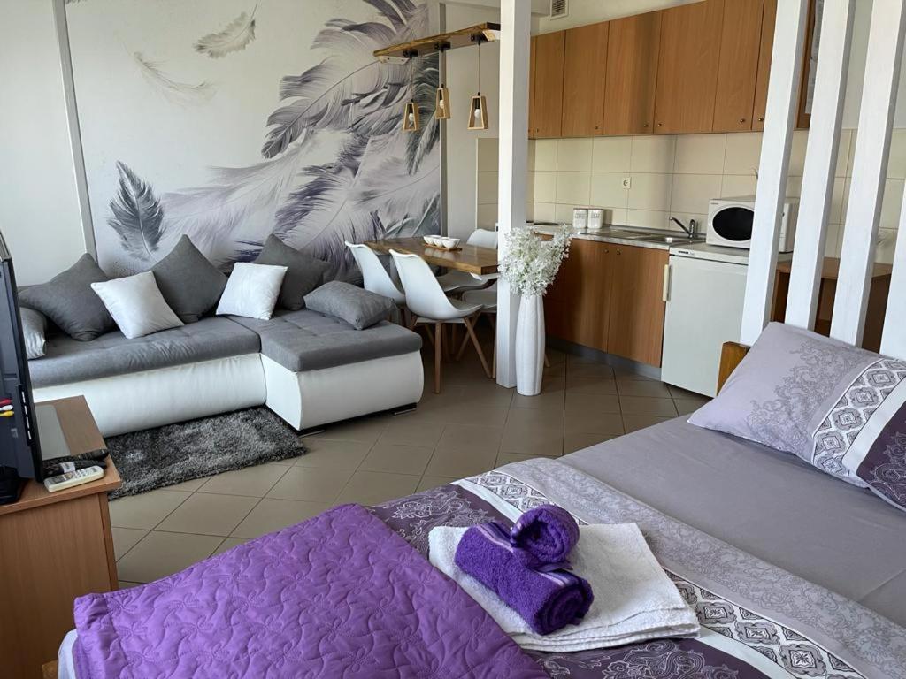 Apartman Lukic Баня-Ковиляча Екстер'єр фото