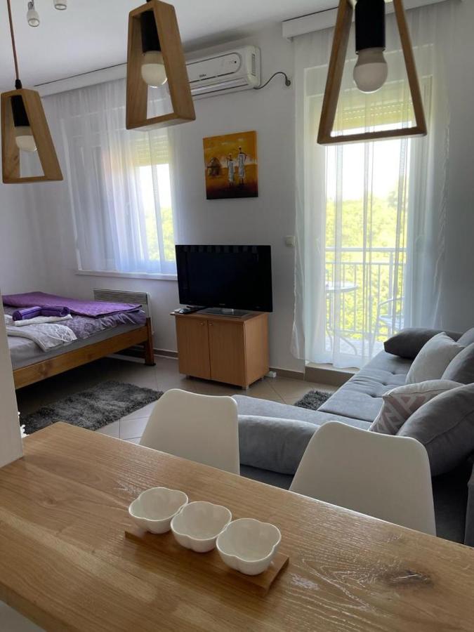 Apartman Lukic Баня-Ковиляча Екстер'єр фото